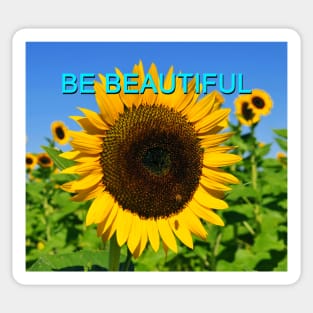 Be Beautiful Sticker